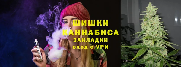 трава Арсеньев