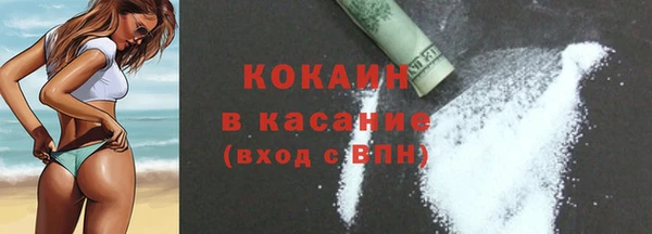 трава Арсеньев