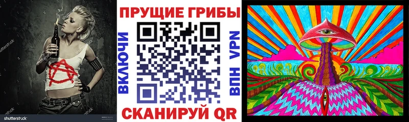 купить наркотики сайты  Буйнакск  Галлюциногенные грибы Cubensis 